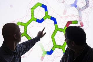 英国科学家正在讨论<a href='http://x6b1.ewepub.com'>澳门第一赌城在线娱乐</a>开发的一种化合物